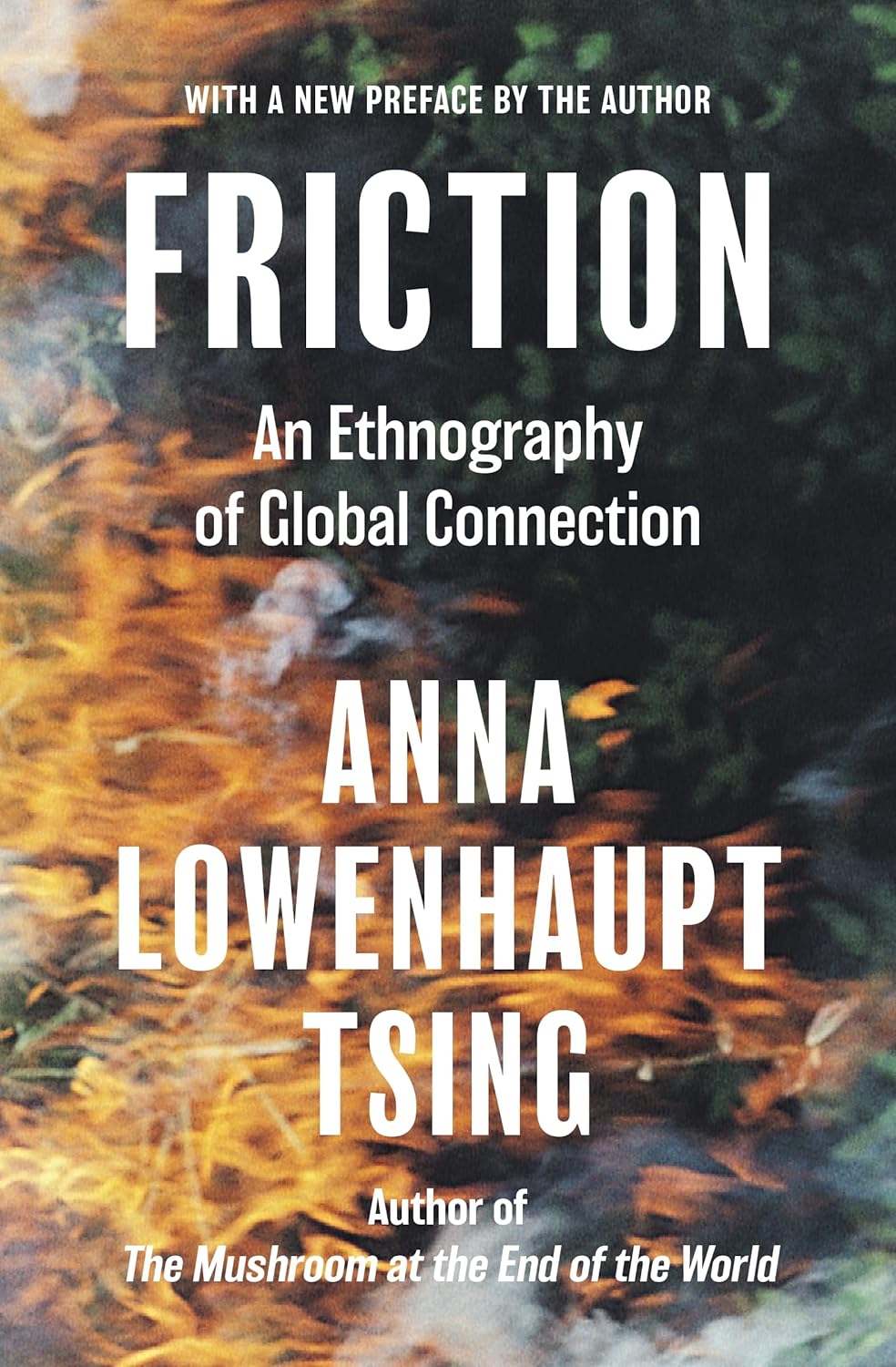 Anna Lowenhaupt Tsing